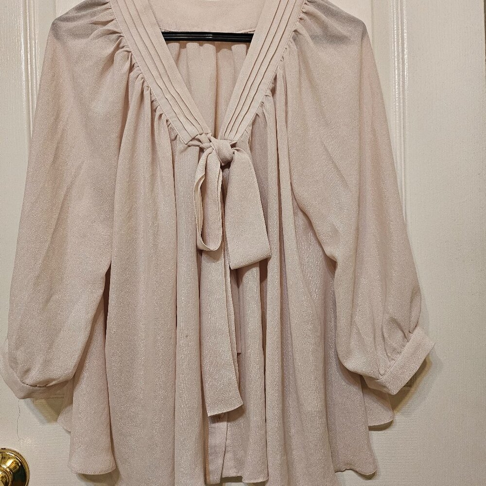 Feminine Blush Pink Sheer Blouse with Neck Tie – Flowy & Elegant – Size M